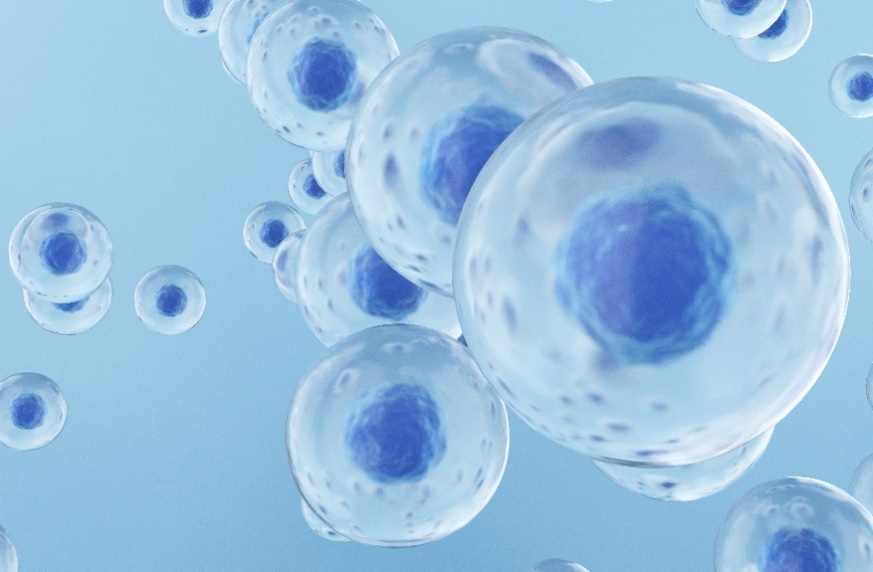 自体来源间充质干细胞治疗